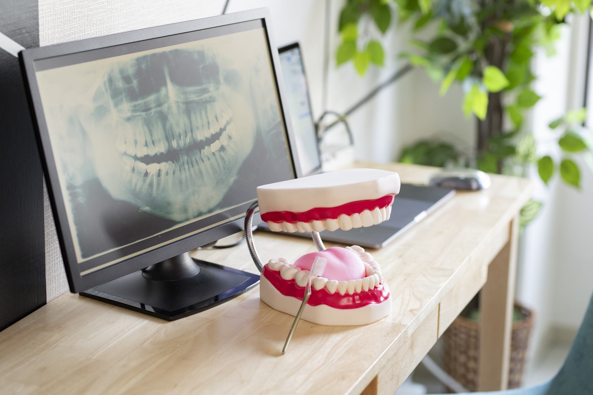 セカンドオピニオンに対応しています